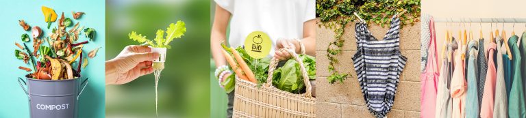 Programme Carbone Scol'ERE et Écolabs de la Coop FA