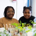 Projet dans une école coop fa écolabs carbone scol'ere
